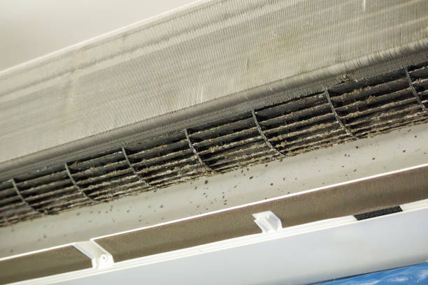 Best Commercial Air Duct Cleaning  in Harvest, AL